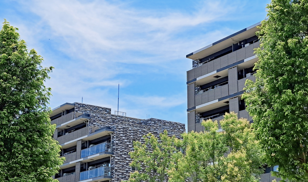 写真：マンションと木の写真です。